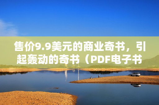 售价9.9美元的商业奇书，引起轰动的奇书（PDF电子书）