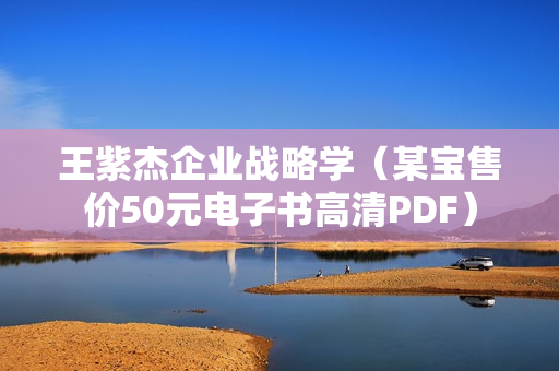 王紫杰企业战略学（某宝售价50元电子书高清PDF）