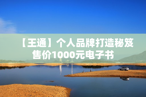 【王通】个人品牌打造秘笈售价1000元电子书
