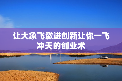 让大象飞激进创新让你一飞冲天的创业术