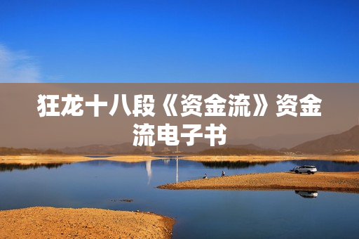 狂龙十八段《资金流》资金流电子书
