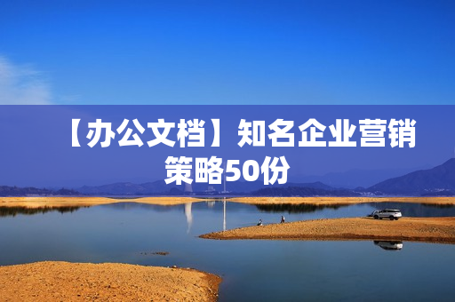 【办公文档】知名企业营销策略50份