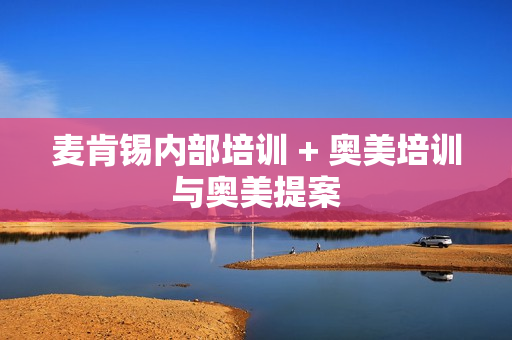 麦肯锡内部培训 + 奥美培训与奥美提案
