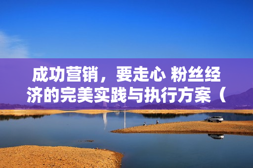 成功营销，要走心 粉丝经济的完美实践与执行方案（PDF高清电子书）
