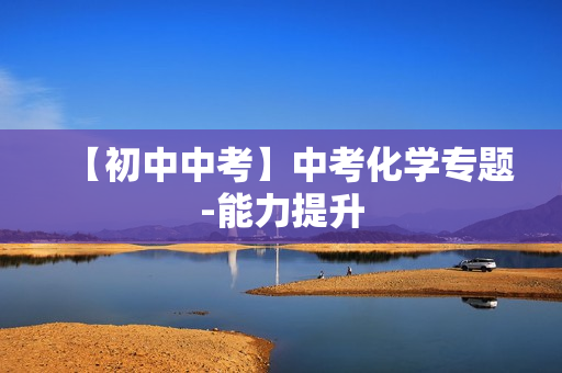 【初中中考】中考化学专题-能力提升