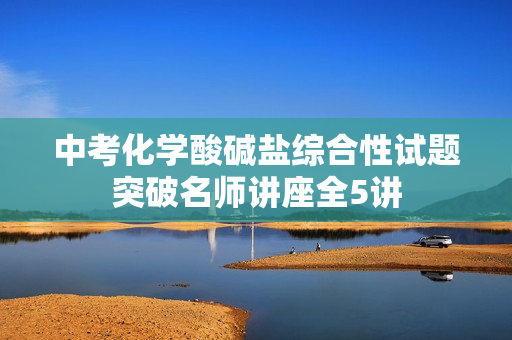 中考化学酸碱盐综合性试题突破名师讲座全5讲