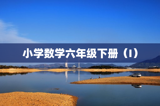 小学数学六年级下册（I）