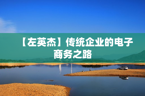 【左英杰】传统企业的电子商务之路