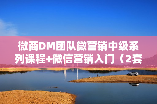 微商DM团队微营销中级系列课程+微信营销入门（2套系列课）