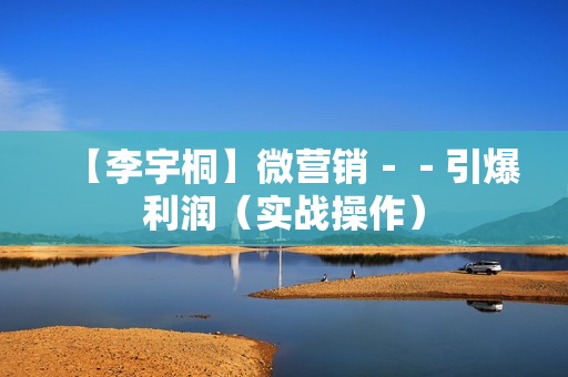 【李宇桐】微营销－－引爆利润（实战操作）