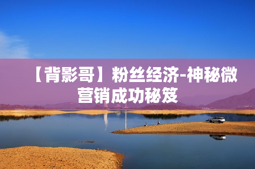 【背影哥】粉丝经济-神秘微营销成功秘笈