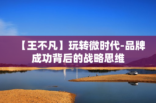 【王不凡】玩转微时代-品牌成功背后的战略思维