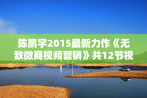 陈鹏宇2015最新力作《无敌微商视频营销》共12节视频教程（附课程录音1节）