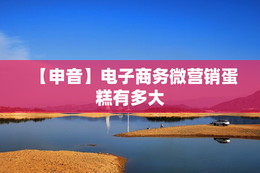 【申音】电子商务微营销蛋糕有多大