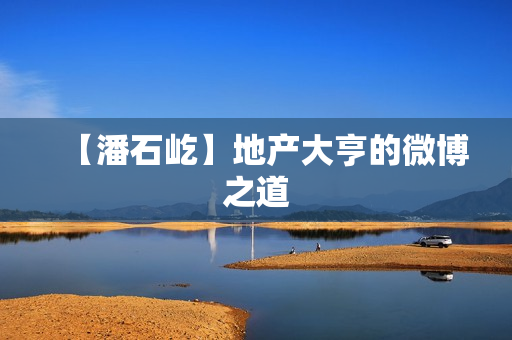 【潘石屹】地产大亨的微博之道