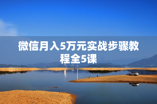 微信月入5万元实战步骤教程全5课