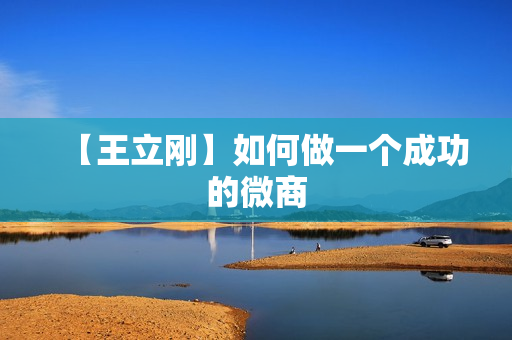 【王立刚】如何做一个成功的微商