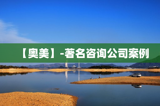 【奥美】-著名咨询公司案例