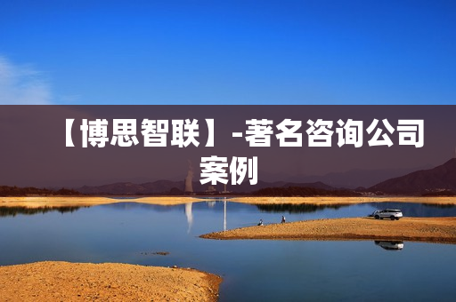【博思智联】-著名咨询公司案例