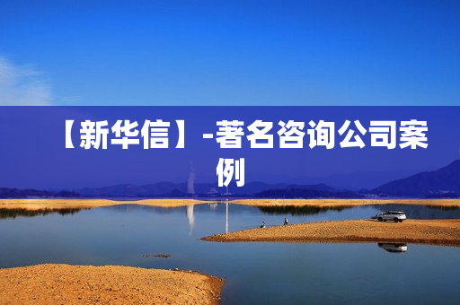 【新华信】-著名咨询公司案例