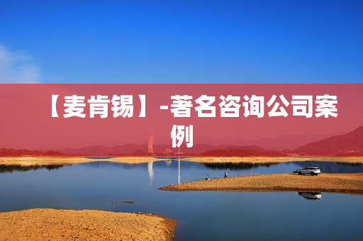 【麦肯锡】-著名咨询公司案例