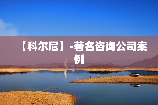 【科尔尼】-著名咨询公司案例