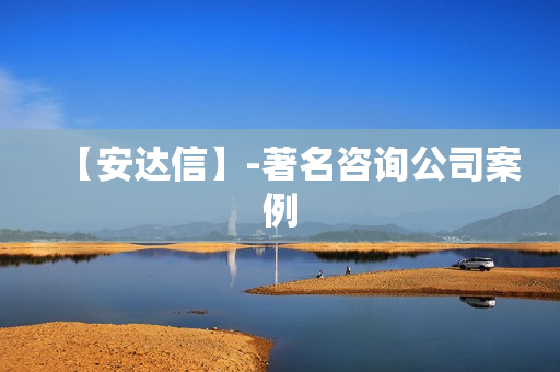 【安达信】-著名咨询公司案例
