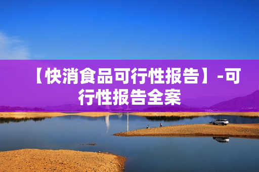 【快消食品可行性报告】-可行性报告全案