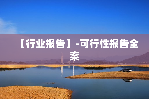 【行业报告】-可行性报告全案