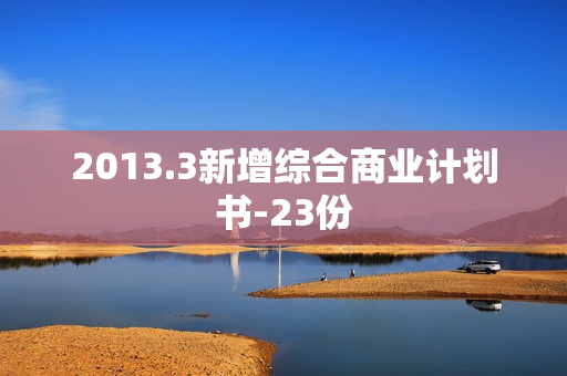 2013.3新增综合商业计划书-23份