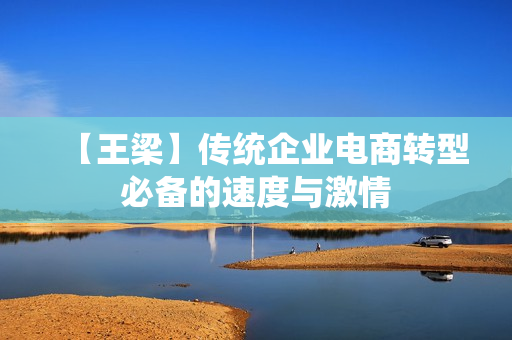 【王梁】传统企业电商转型必备的速度与激情