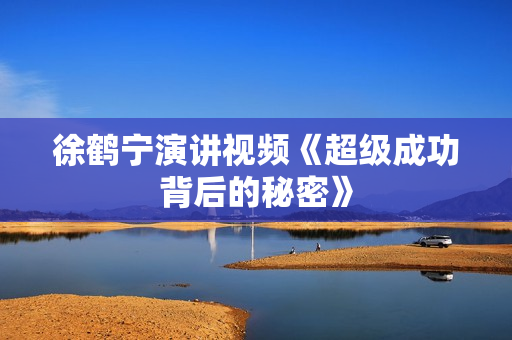 徐鹤宁演讲视频《超级成功背后的秘密》