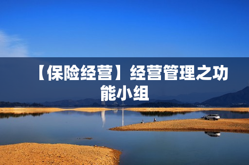 【保险经营】经营管理之功能小组