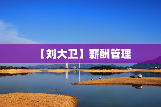 【刘大卫】薪酬管理