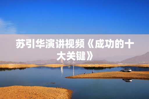 苏引华演讲视频《成功的十大关键》