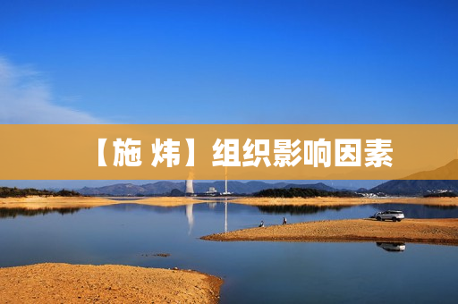 【施 炜】组织影响因素