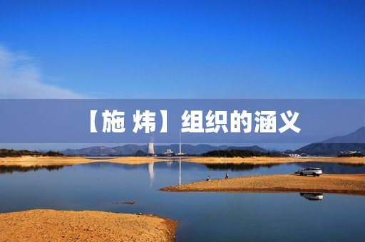 【施 炜】组织的涵义