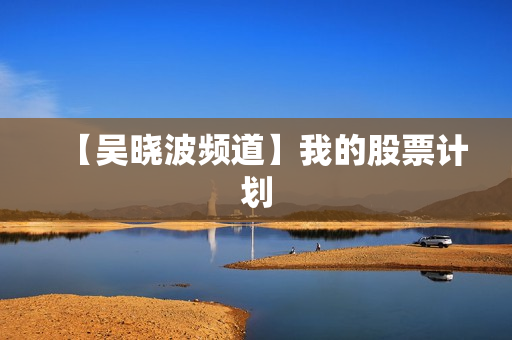 【吴晓波频道】我的股票计划