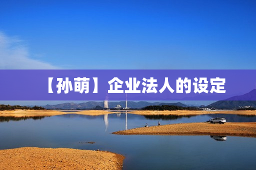 【孙萌】企业法人的设定