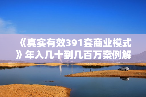《真实有效391套商业模式》年入几十到几百万案例解析