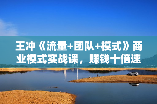 王冲《流量+团队+模式》商业模式实战课，赚钱十倍速