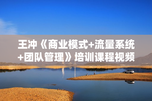 王冲《商业模式+流量系统+团队管理》培训课程视频