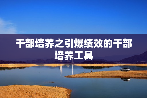 干部培养之引爆绩效的干部培养工具