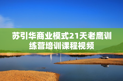 苏引华商业模式21天老鹰训练营培训课程视频