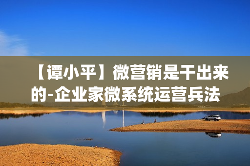【谭小平】微营销是干出来的-企业家微系统运营兵法[高清]