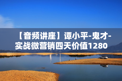 【音频讲座】谭小平-鬼才-实战微营销四天价值12800录音全套