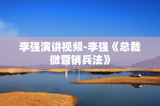 李强演讲视频-李强《总裁微营销兵法》