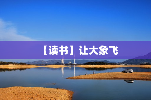 【读书】让大象飞