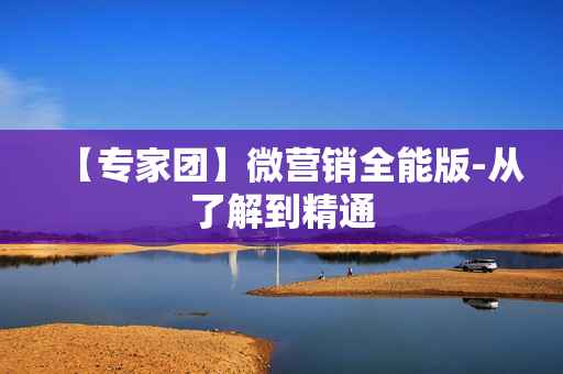 【专家团】微营销全能版-从了解到精通