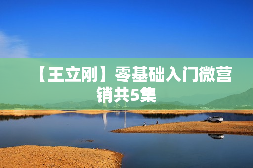 【王立刚】零基础入门微营销共5集